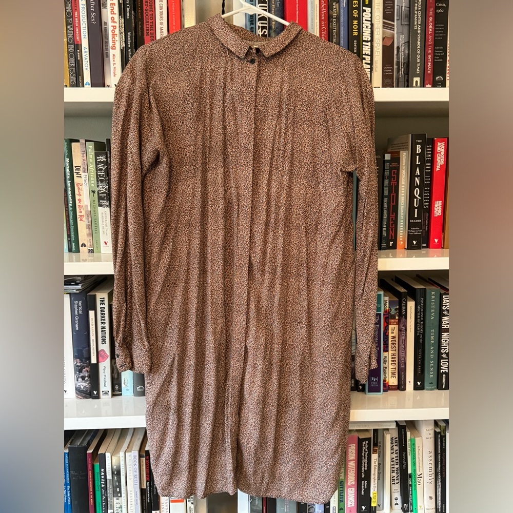 COS minimalist button down shirt dress